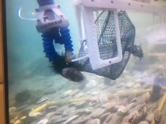 真实近海环境下智能机器人大赛在大连举行